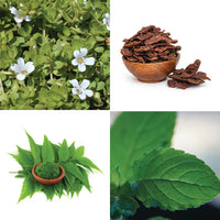 Brahmi, Shikakai, Neem, Tulsi