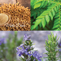 Rosemary, Methi Dana and Curry Leaves